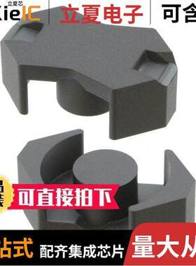 B65807J0250A041 null TDK Corporation