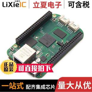 102010027开发板 〔BEAGLEBONE GREEN AM3358BZCZ 〕