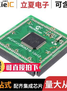 MA240029开发板 〔MODULE PLUG-IN PIC24FJ128GA310 〕