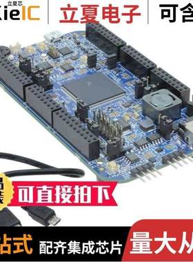 DEVKIT-S12G128/DSP56854FGE/DSP56858VF120