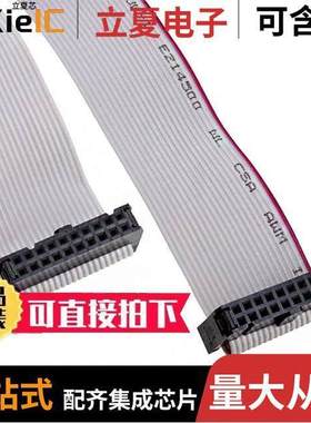 CAB-ARM-20W开发板 〔CABLE RIBBON 20WAY IDC PRGRM 〕