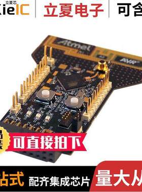 ATRCB256RFR2-XPRO射频 〔XPLAINED PRO EXT RCB256RFR2 〕