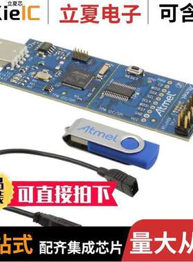 AT97SC3205P-SDK2开发板 〔DEMO KIT FOR 97SC3204 〕