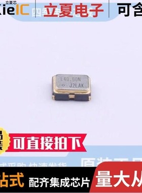 SG-8101CA 80.000000MHz TBGSA/SG-8101CE 48.000000MHz TBGPA