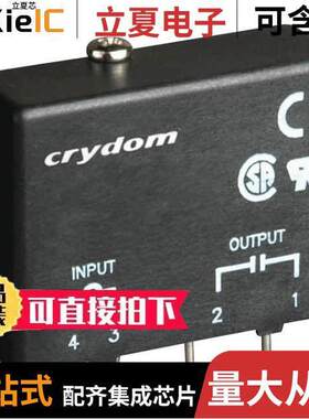 OAC24继电器 〔AC OUTPUT MODULE 3.5A 〕
