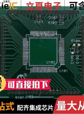 MA180016开发板 〔MODULE PLUG-IN PICDEM HPC BLANK 〕