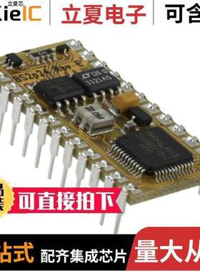 BS2P24芯片 〔IC MODULE SX48AC 20MHZ 38B 16KB 〕