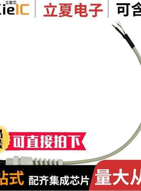 SN250V传感器，变送器 〔PT1000TR160/0 PROBE FOR COMETEO 〕