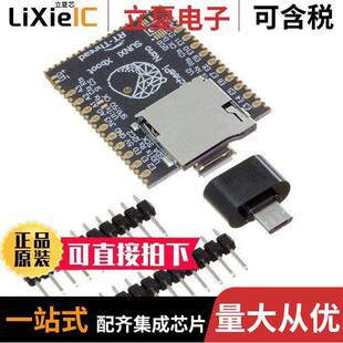 102110199开发板 〔SIPEED LICHEE NANO 16M BRD 〕