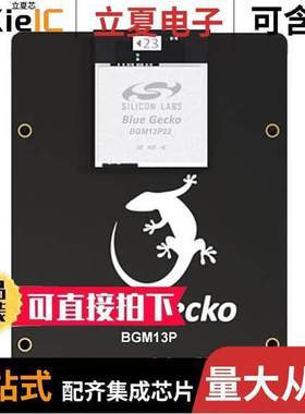 SLWRB4306A射频 〔BLUE GE【O MODULE RADIO BOARD 〕