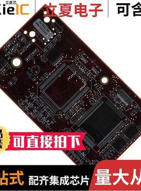 20-101-0446芯片 〔IC MOD RABBIT 2000 22.1MHZ 128KB 〕