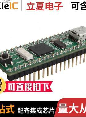 MIKROE-763开发板 〔MINI-32 PIC32MX534F064H EVAL BRD 〕