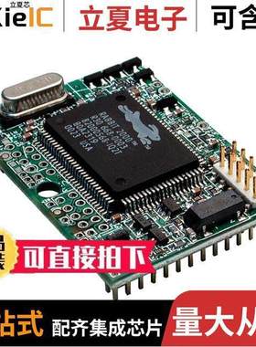 20-101-0453芯片 〔IC MOD RABBIT 2000 22.1MHZ 128KB 〕