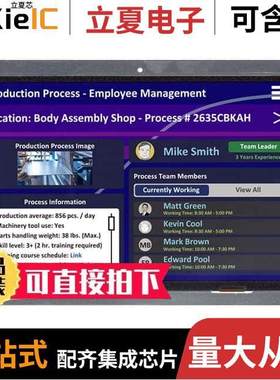 GTWX101VHA00P光电元件 〔LCD TFT TOUCH DVI WXGA 10.1