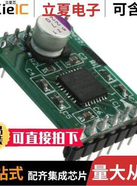 AM306228R1DBGEVB开发板 〔BOARD DAUGHTER I2C STEP DVR NQFP 〕