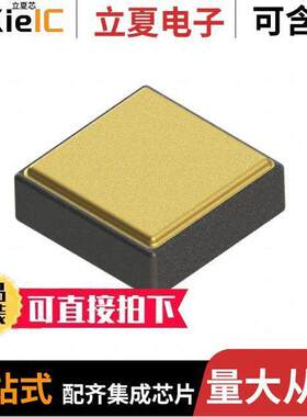 118EGA101M100TT电容 〔CAP CER 100PF 100V NONSTND 〕