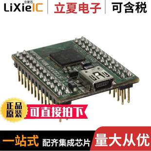 FT4232H MINI MODULE开发板 〔MOD USB HS FT4232H EVAL 〕