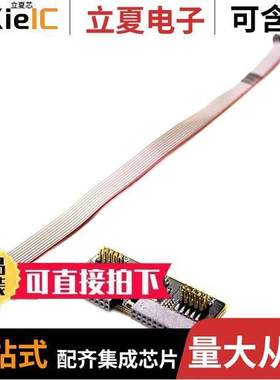 SLSDA001A开发板 〔DEBUG ADAPT KIT 〕