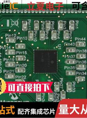 MA330016开发板 〔MODULE DSPIC33 44P-100P QFP GP 〕