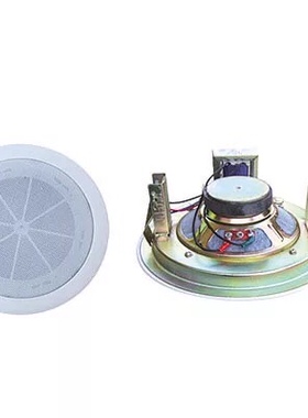 DJSPEAKER专业广播音响天花吸顶超市 咖啡厅音视频会议客厅DSD-2