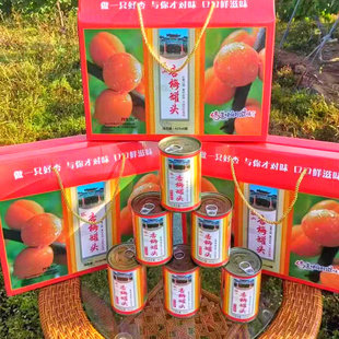 丹东特产大孤山杏梅冰糖杏梅罐头2罐包邮烘焙甜点网红食品易拉罐