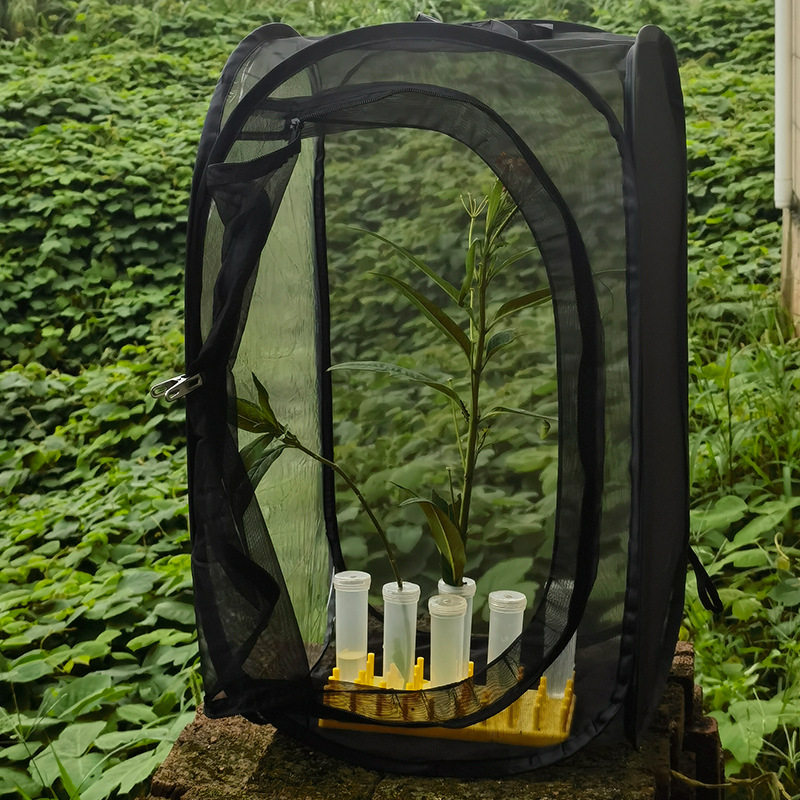 昆虫笼植物笼子蝴蝶螳螂竹节虫多功能花盆罩便携院子儿童观察饲养