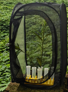 昆虫笼植物笼子蝴蝶螳螂竹节虫多功能花盆罩便携院子儿童观察饲养