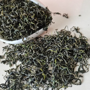 2025新茶陇南绿茶康县阳坝茶叶满福毛尖