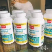 Ade Home American mail trực tiếp JarrowForm Formula Brady Yeast Cat Pet Probiotic - Cat / Dog Health bổ sung