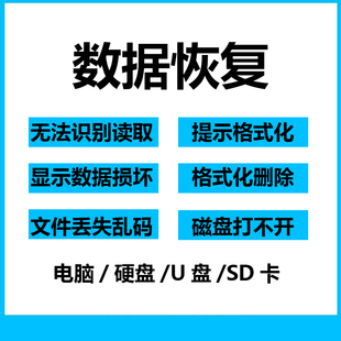 电脑移动硬盘数据恢复U盘内存sd卡照片文件误删修复损坏软件服务