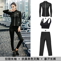 Штаны, лонгслив с молнией, спортивный бюстгальтер