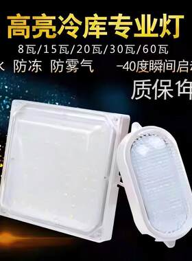 LED防冻专业40度使用三年冷库灯
