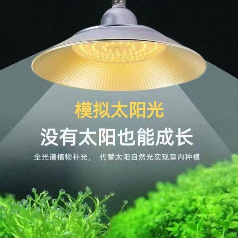 补全植物樱桃植物光灯蓝光蔬菜草莓葡萄育苗灯番茄生长红光谱大棚