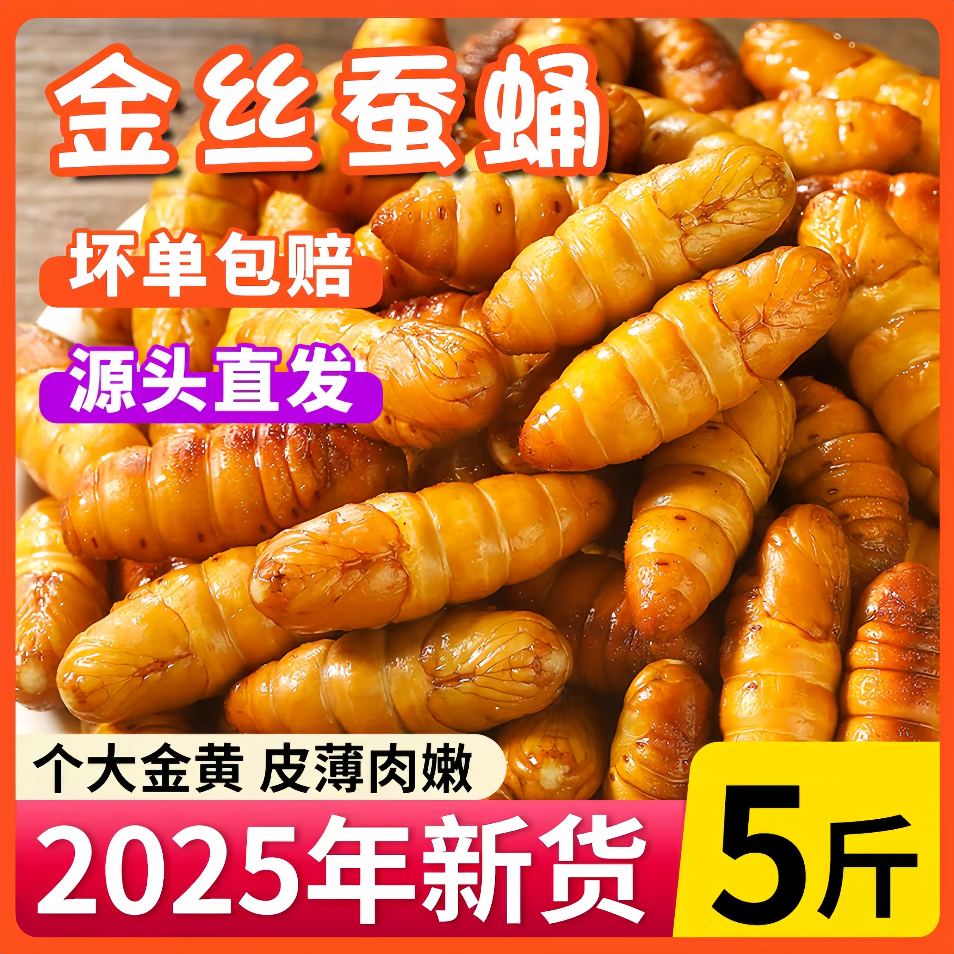 金丝蚕蛹鲜活新鲜冷冻5斤装鲜冻金丝蛹商用烧烤山东特产农家蝉蛹