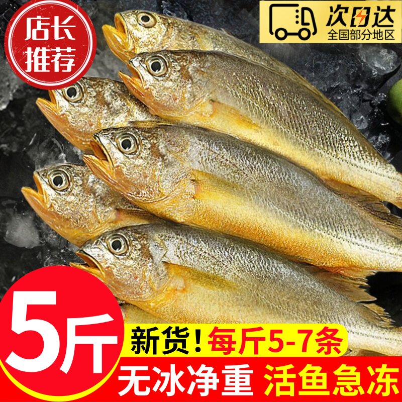 小黄花鱼新鲜冷冻5斤烧烤大黄鱼浙江生鲜活海鱼海鲜整箱商用批发