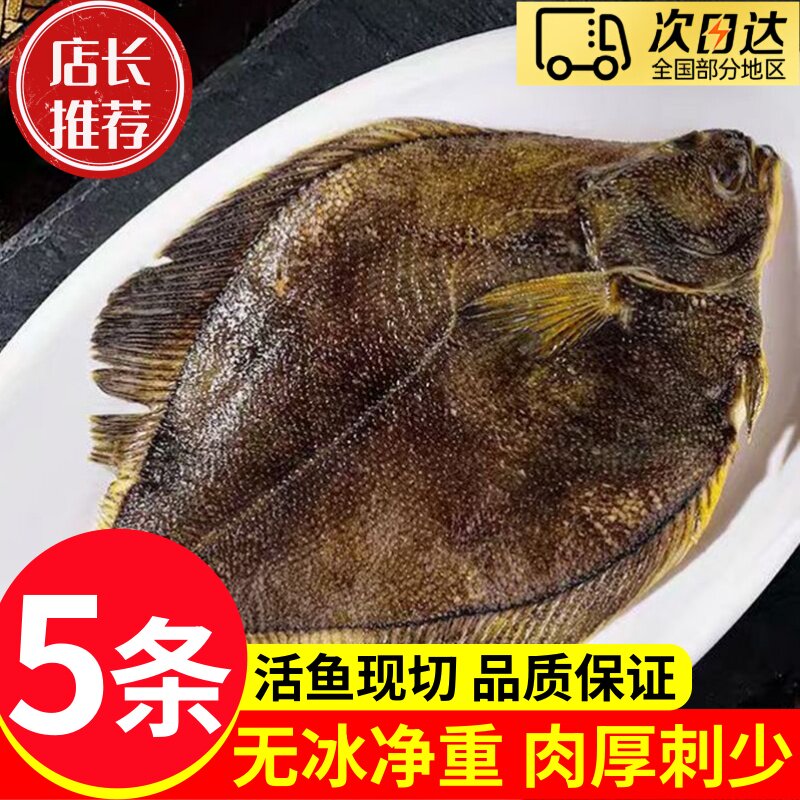黄金鲽鱼新鲜深海鲽鱼整条比目鱼海鱼冰鲜偏口鱼鸦片鱼饭店烧烤