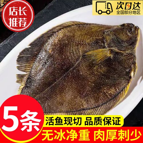 特价5条深海黄金鲽鱼冰鲜顺丰