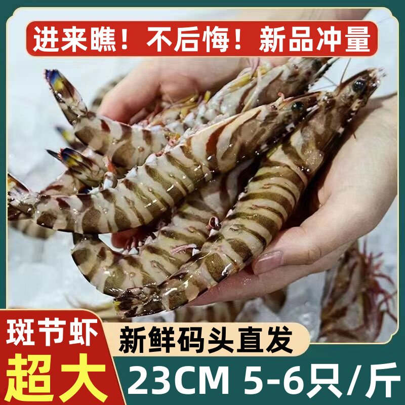 大海十三特大鲜冻竹节虾无冰净重