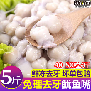 鱿鱼嘴墨鱼嘴冷冻新鲜鱿鱼牙目鱼嘴章鱼嘴海鲜烧烤火锅食材乌贼嘴