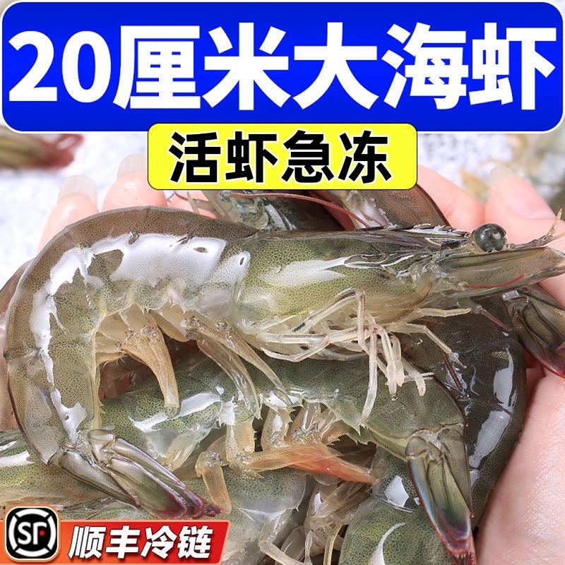 4斤装青岛大虾新鲜海虾对虾海鲜水产鲜活青虾超大基围虾冻虾白虾 水产肉类/新鲜蔬果/熟食 冻虾 原图主图