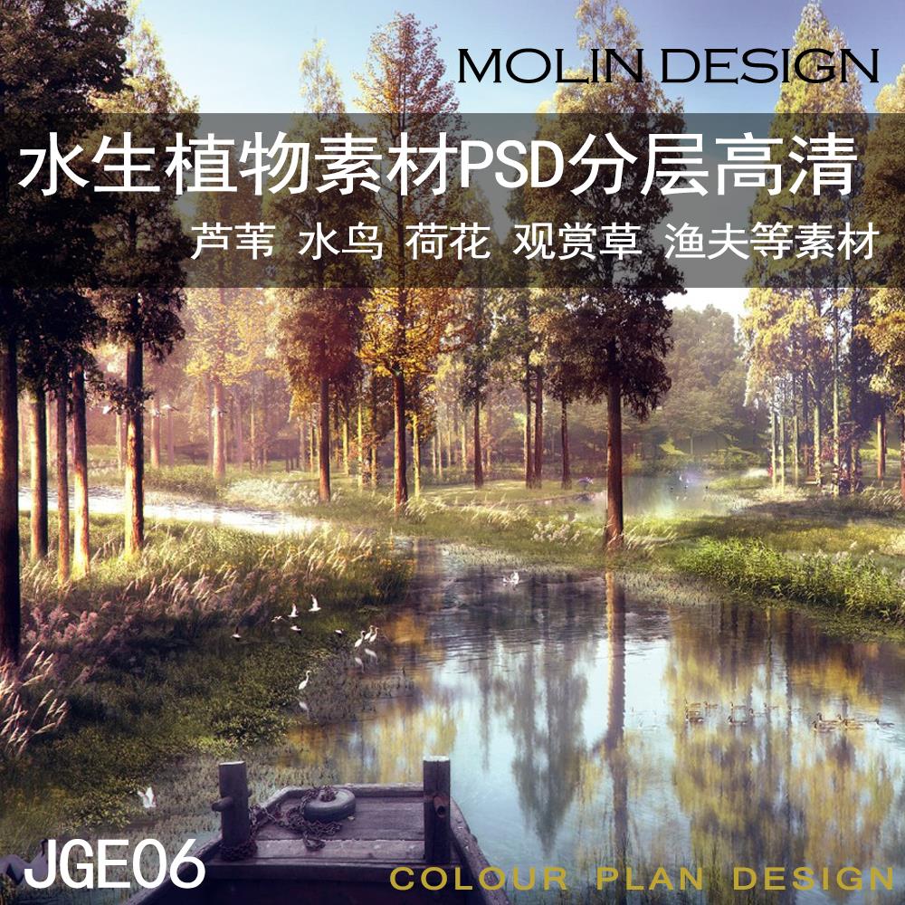 滨水滨河水生植物荷花湿地白鹭水杉柳树PSD高清PS效果图设计素材