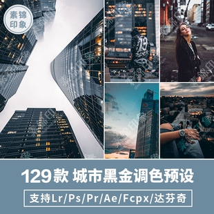 达芬奇 LR预设工业风城市黑金街拍电影PS FCPX LUT调色滤镜