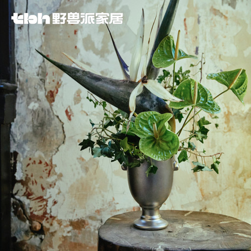 tbh野兽派家居浮雕花瓶