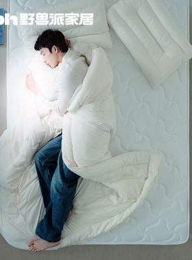 tbh野兽派家居EW仿生羽绒被子可机洗春秋被单双人抗菌冬被被芯