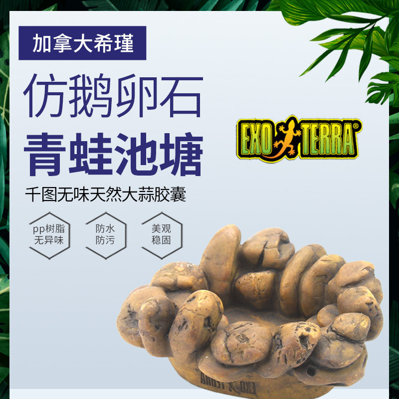 希瑾爬宠水盆青蛙池角蛙树蛙黄金姥爷非洲小丑娃水盆蓄水槽造景