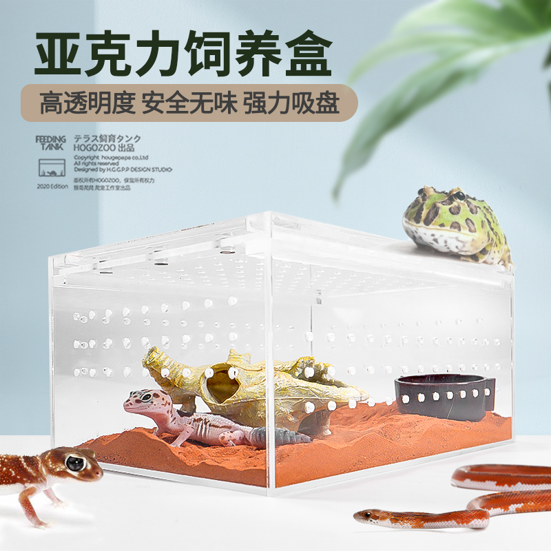 爬虫亚克力饲养箱守宫婕角角蛙