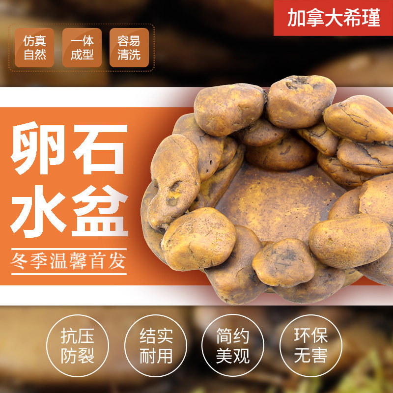 希瑾爬宠水盆青蛙池角蛙树蛙黄金姥爷非洲小丑娃水盆蓄水槽造景