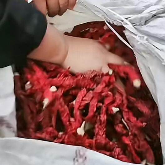陕西兴平桑镇辣椒/秦椒/整颗线线辣椒/炒菜煮肉厨房辣椒