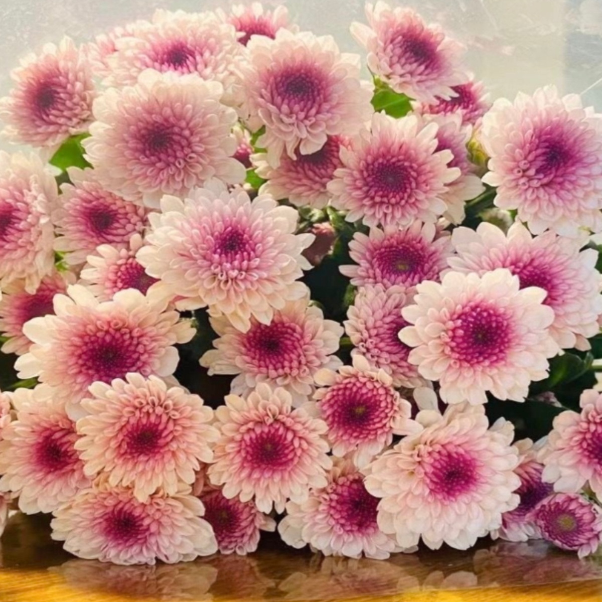 新鲜小雏菊瓶插小菊昆明基地直发