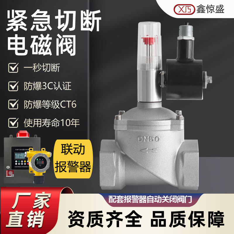 工业商用餐饮饭店燃气电磁式紧急切断阀天然气管道自动切断DN25